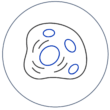 Icon_Cell Identification Icon_Cell Identification