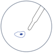 Icon_cell dispensing - single cell isolation Icon_cell dispensing - single cell isolation