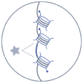 Cellenion Icons_scATAC-seq Cellenion Icons_scATAC-seq