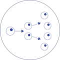 Cloning Cloning